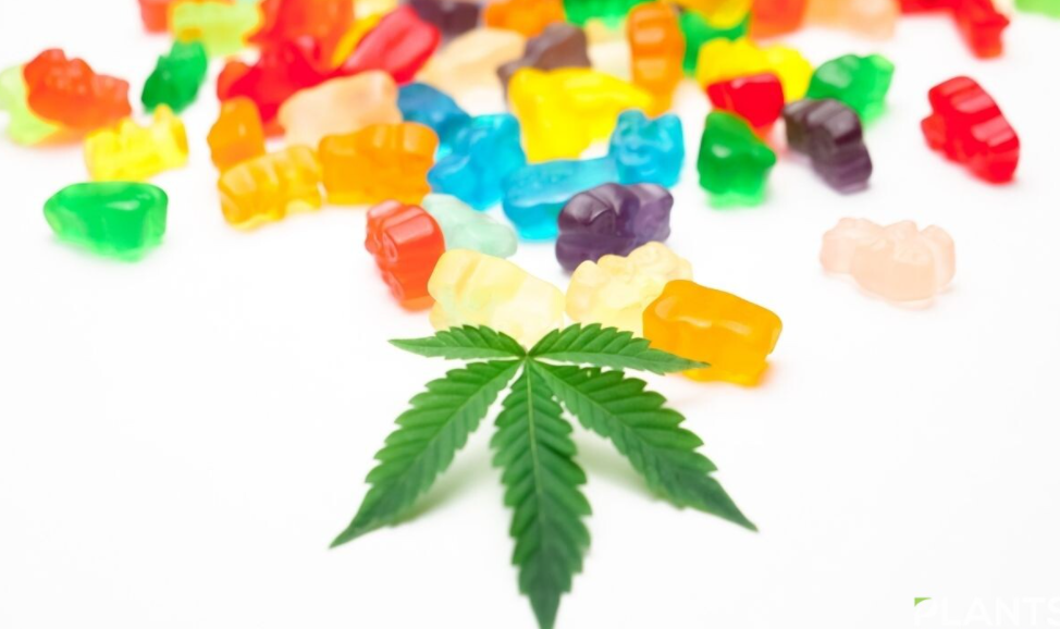 cbd gummies